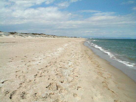 Playa de La Devesa. (El Saler, Valencia). 