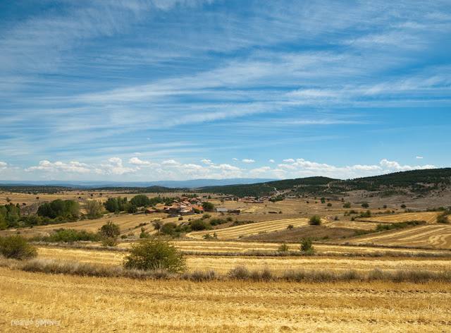 Arroyo Cerezo, Rincón de Ademúz. Valencia.. 