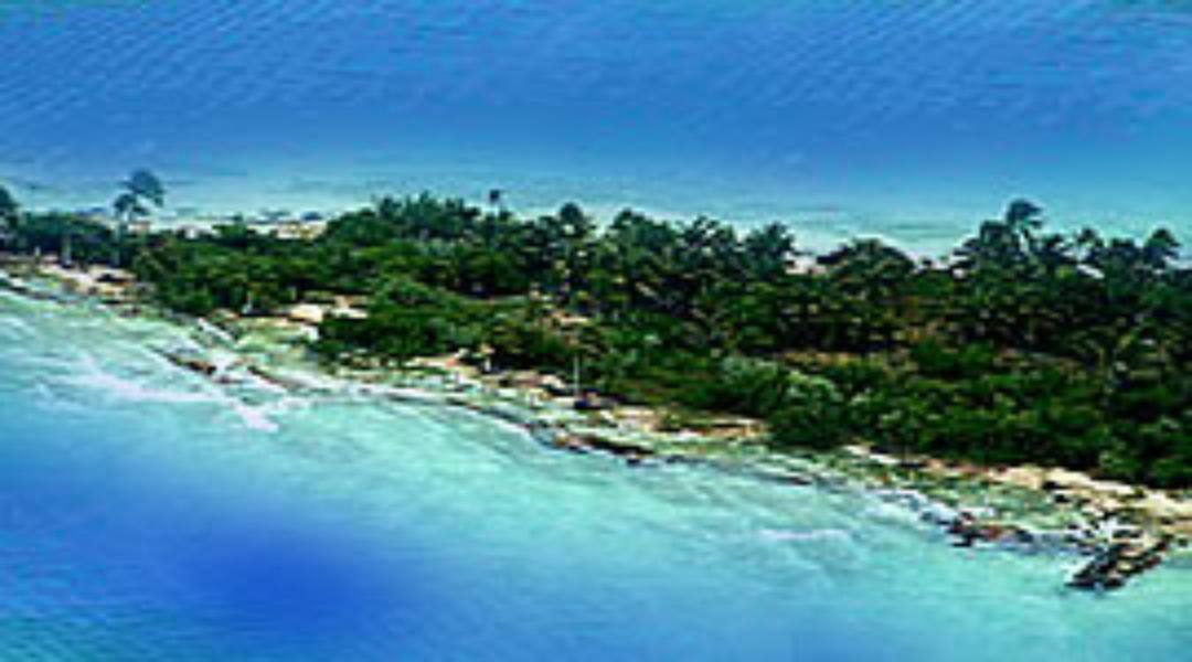 Blackadore Cay, la isla de Leonardo DiCaprio. Leonardo DiCaprio tampoco se podía quedar sin su isla particular, por lo que compró 'Cayo Sumba' en Belice, aunque fue rebautizado por DiCaprio como 'Cayo Blackdore'.