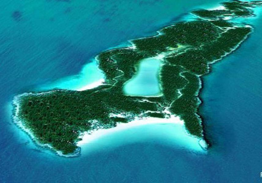 Little Halls Pond Cay, el pedacito de paraíso de Johnny Depp. Little Halls Pond Cay' es el nombre de la isla en las Bahamas que el actor de 'Piratas del Caribe' se permitía comprar. Rebautizada con el nombre de su hija, Lily-Rose Melody, este enclave les sirvió también a Penélope Cruz y a Javier Bardem para casarse en secreto, un regalo especial que les hizo el actor hollywoodiense.