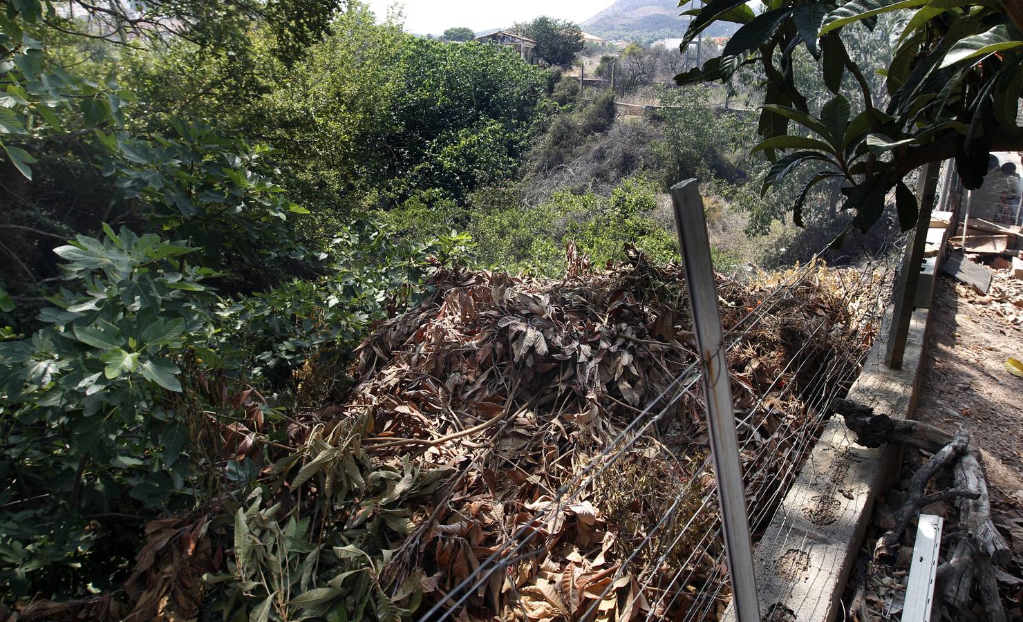 Imágenes del incendio en el término de Gilet