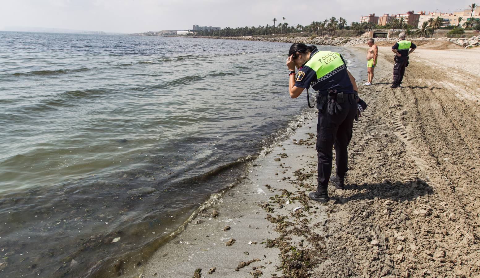 Cierran la playa de San Gabriel tras aparecer centenares de peces muertos