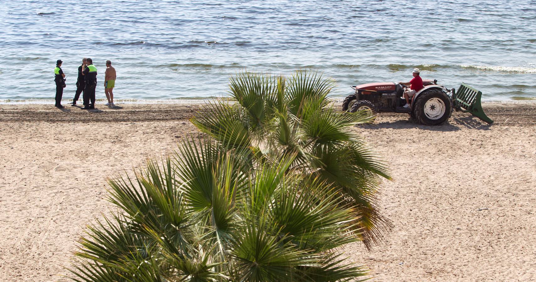 Cierran la playa de San Gabriel tras aparecer centenares de peces muertos