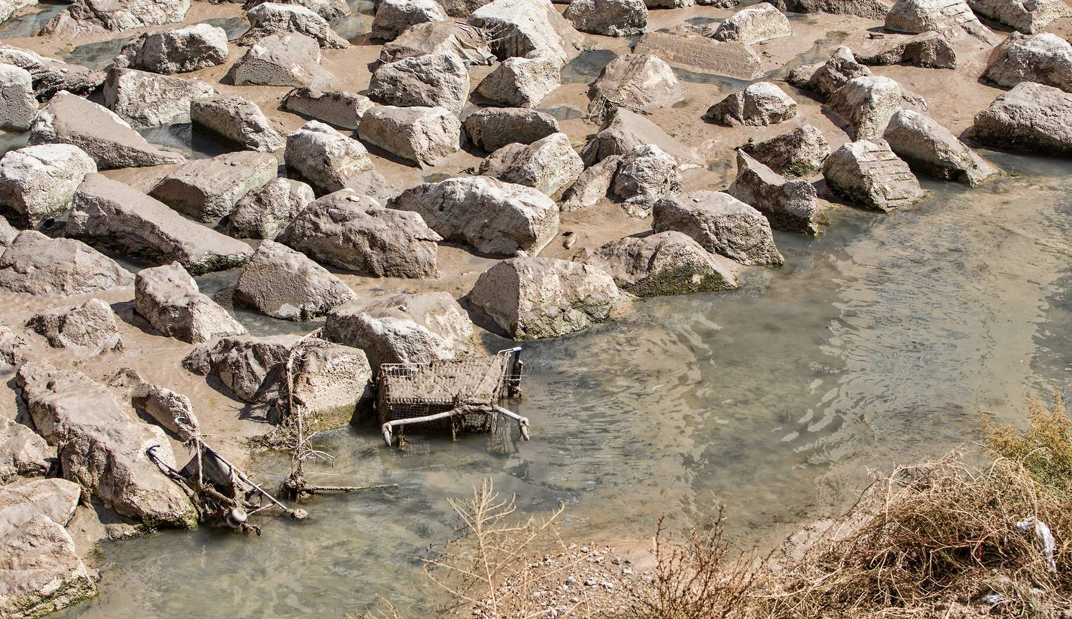 El PSPV denuncia aguas fecales y peces muertos en el Barranco de las Ovejas