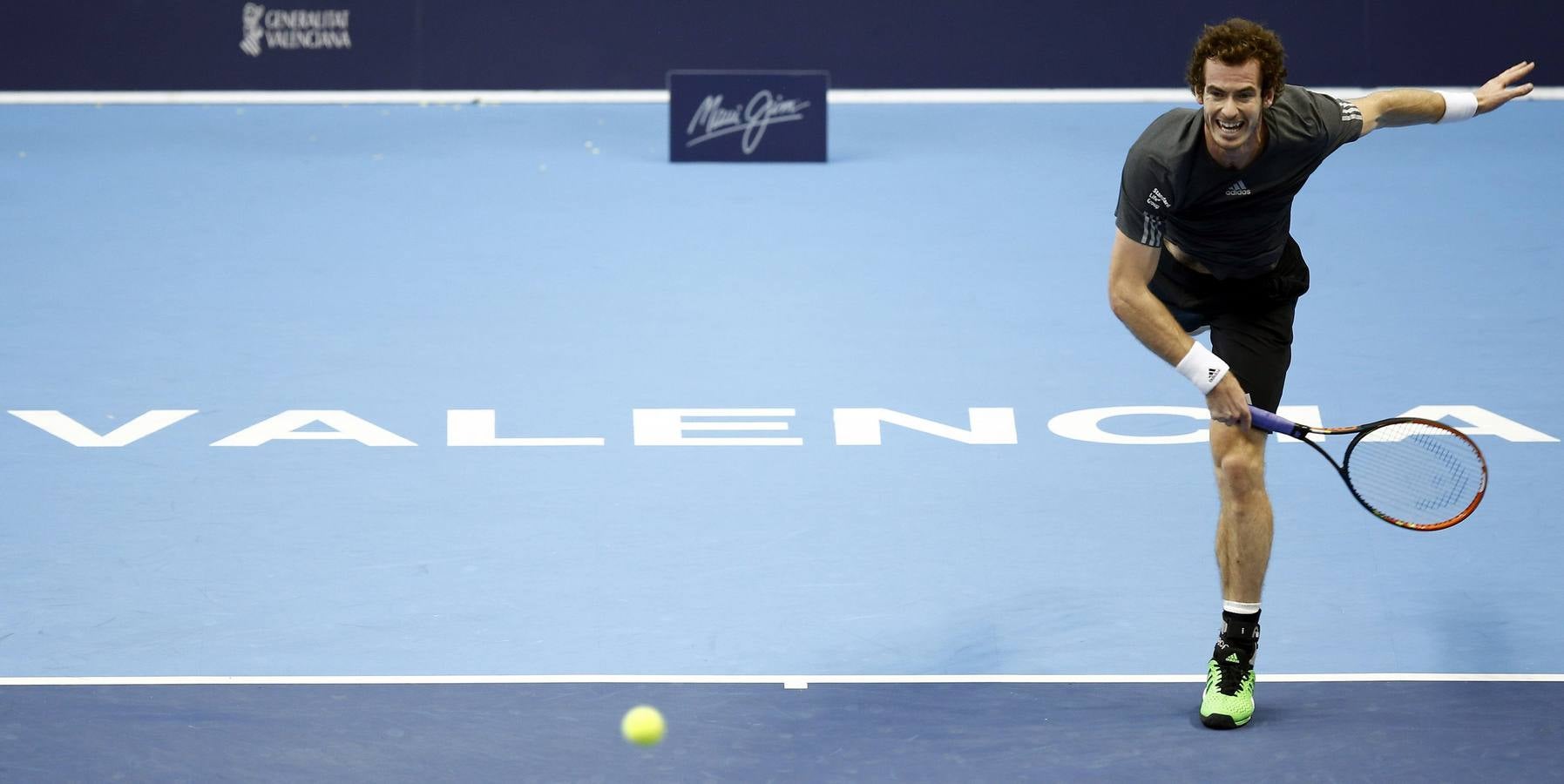 Ferrer y Murray se verán las caras en las semifinales del Valencia Open 500