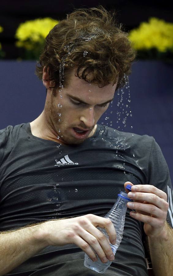 Ferrer y Murray se verán las caras en las semifinales del Valencia Open 500