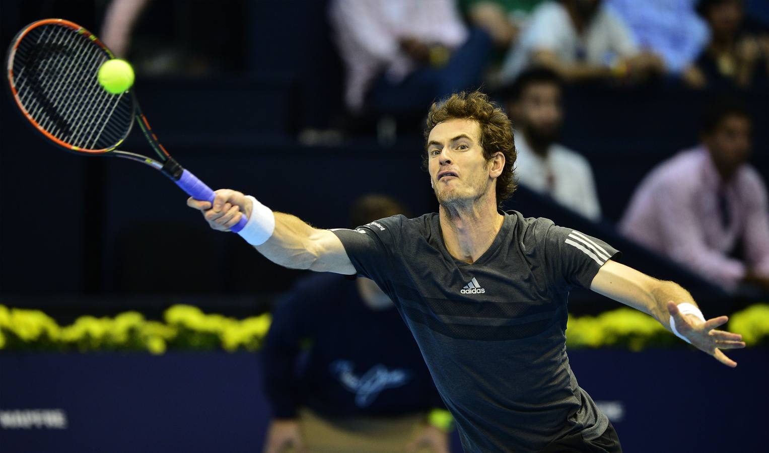 Ferrer y Murray se verán las caras en las semifinales del Valencia Open 500