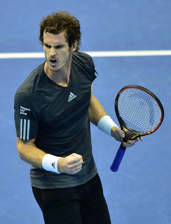 Ferrer y Murray se verán las caras en las semifinales del Valencia Open 500