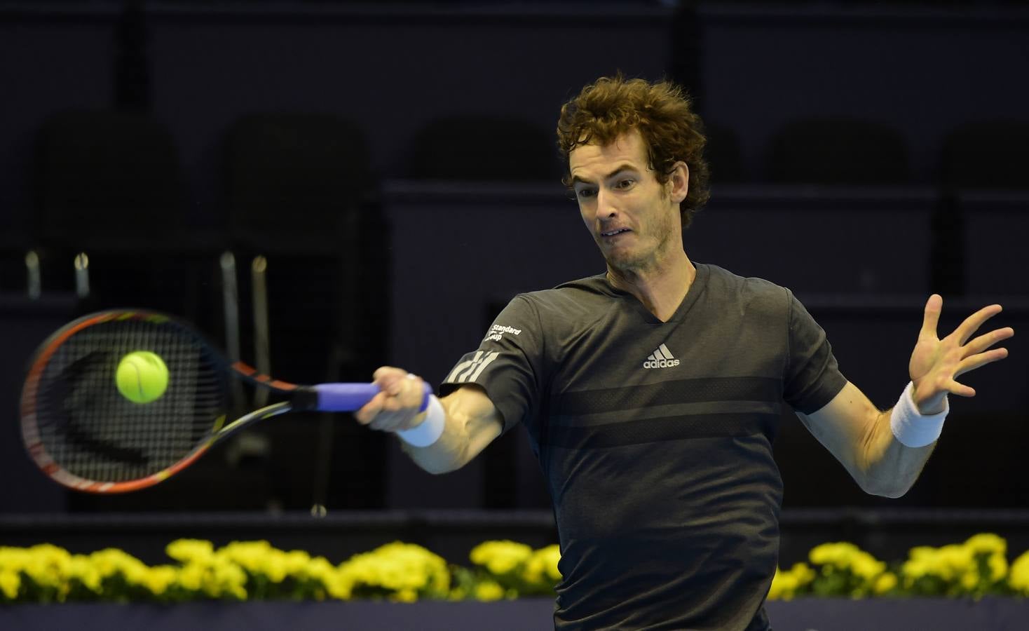 Ferrer y Murray se verán las caras en las semifinales del Valencia Open 500