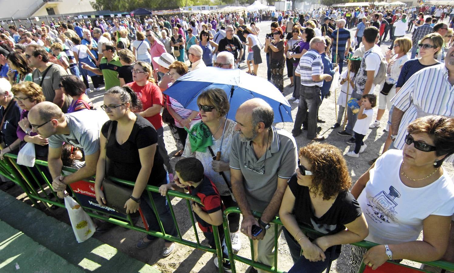 Romería de San Crispín en Elche