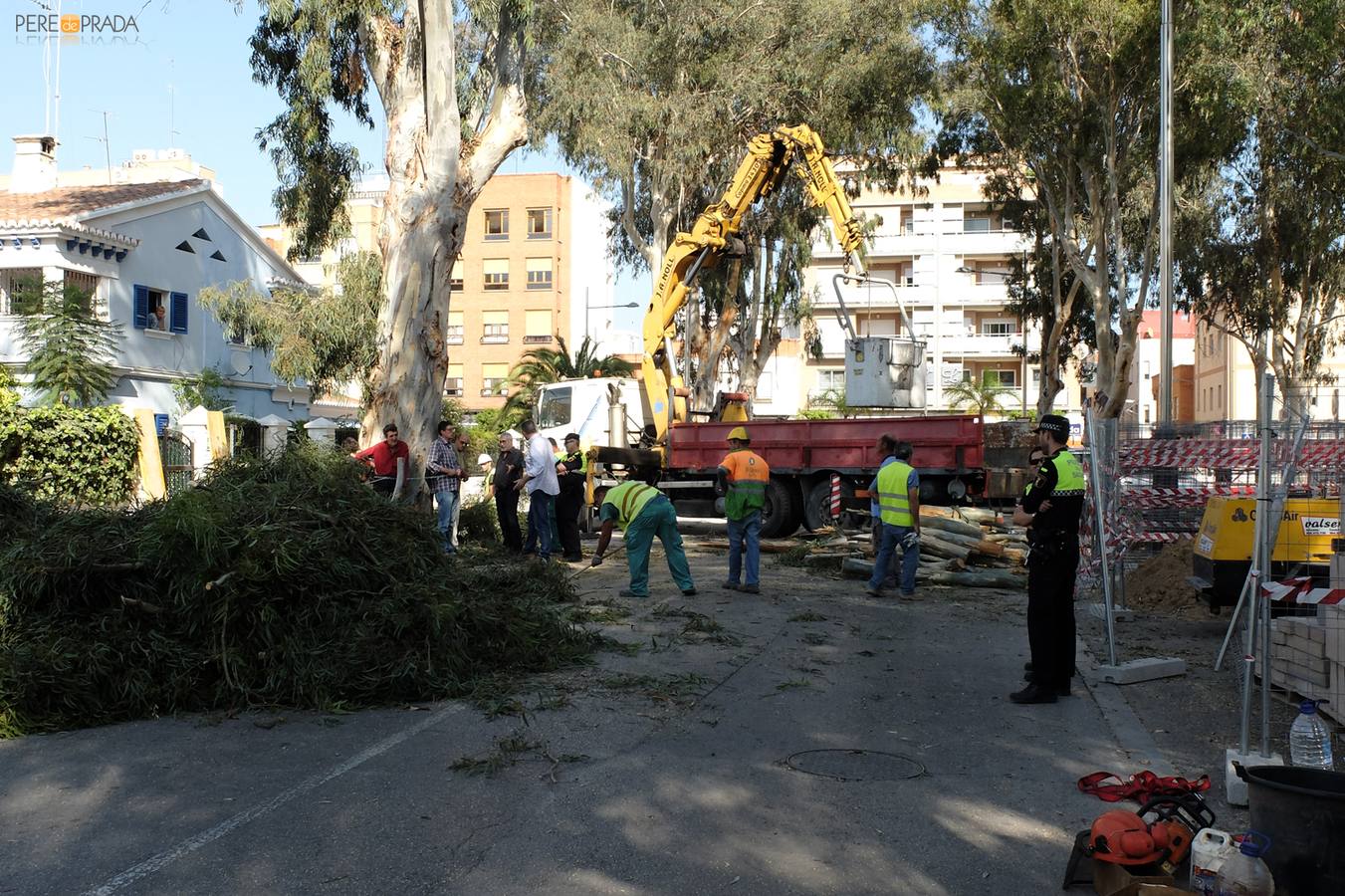 Agró y vecinos de Puerto de Sagunto se encadenan a dos eucaliptos para evitar su tala