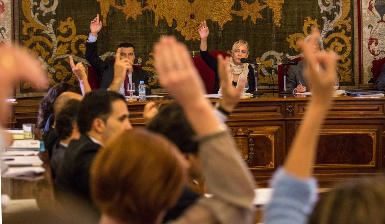 Pleno comprometido para Sonia Castedo