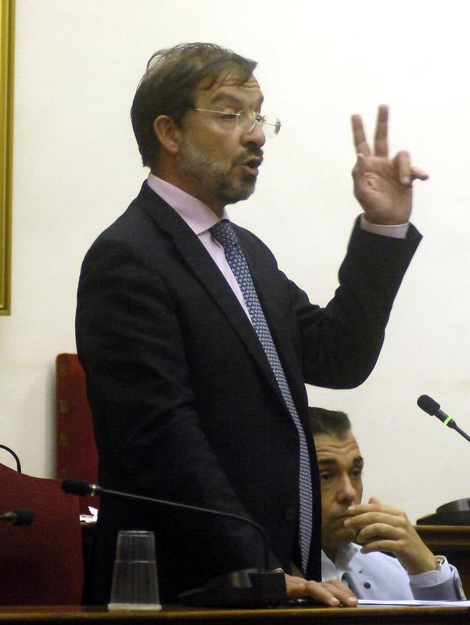 Pleno extraordinario del Ayuntamiento de Elche