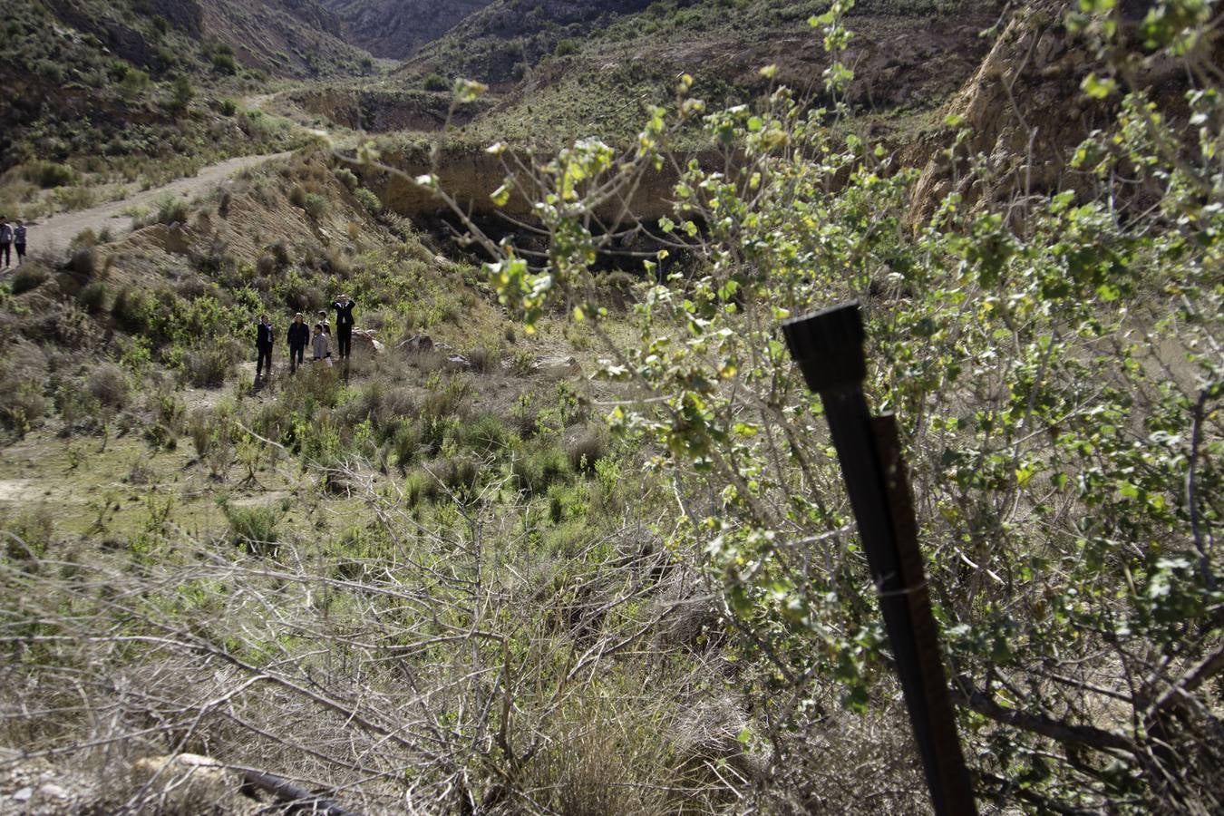 Paseo por la cantera de Cox