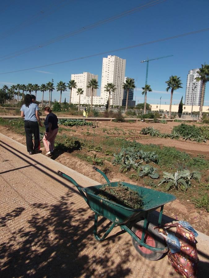 Huertos en Sociópolis