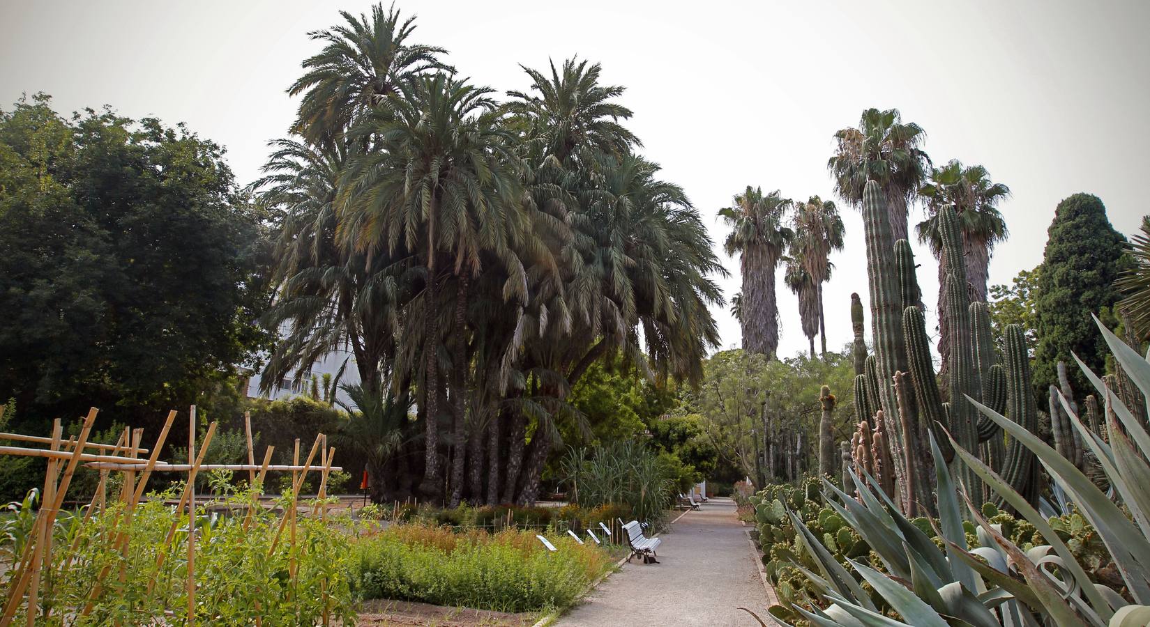 Jardín Botánico. 