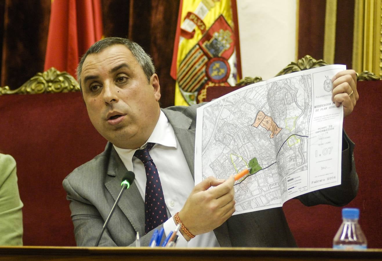 Pleno del Ayuntamiento de Elche