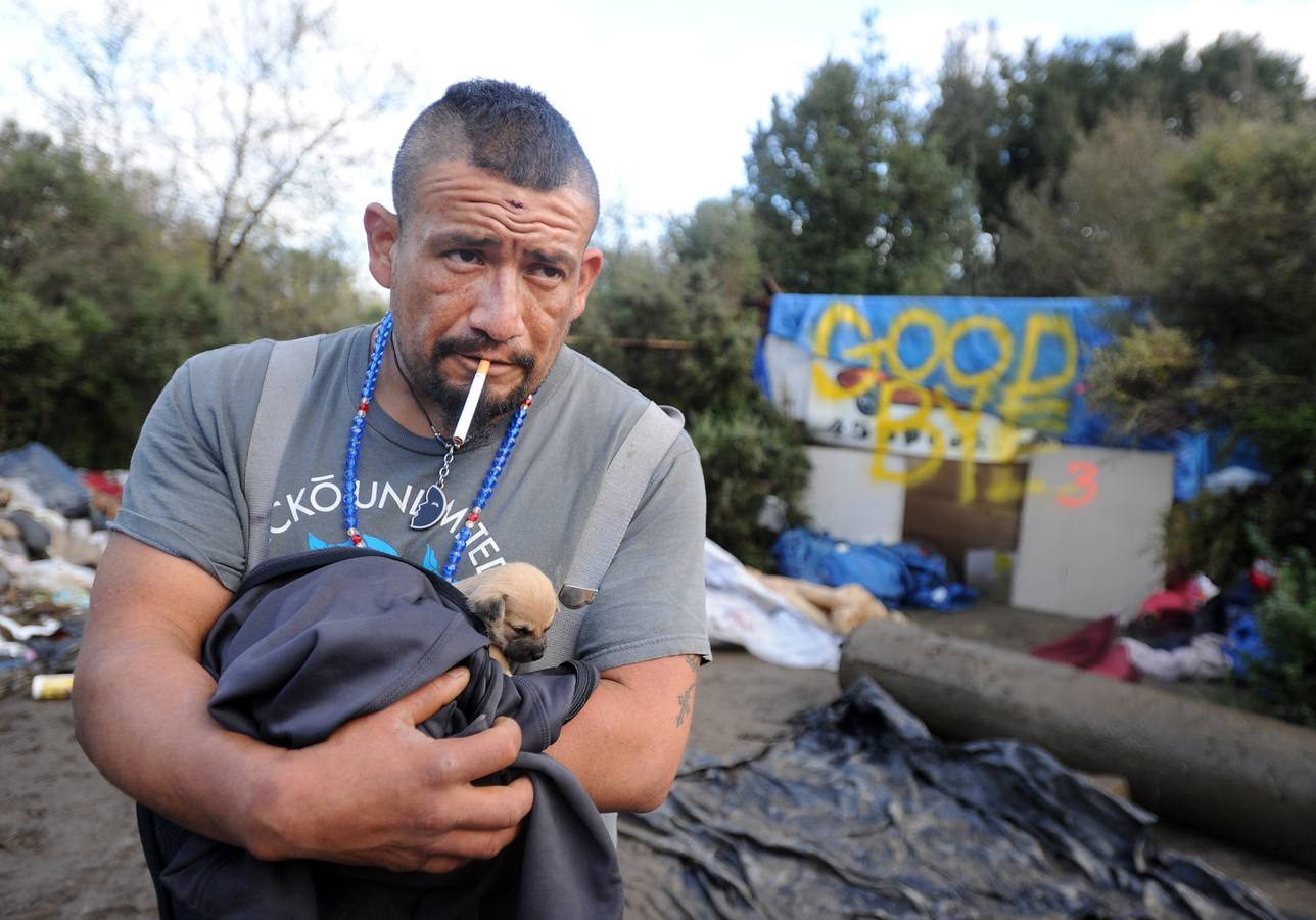 Ni cachorros ni personas en La Jungla de California. Desalojo del asentamiento de personas sin techo en San José.