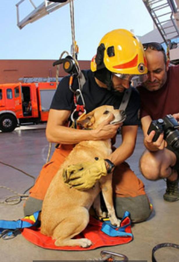 El lado animal de los bomberos