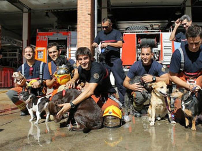 El lado animal de los bomberos