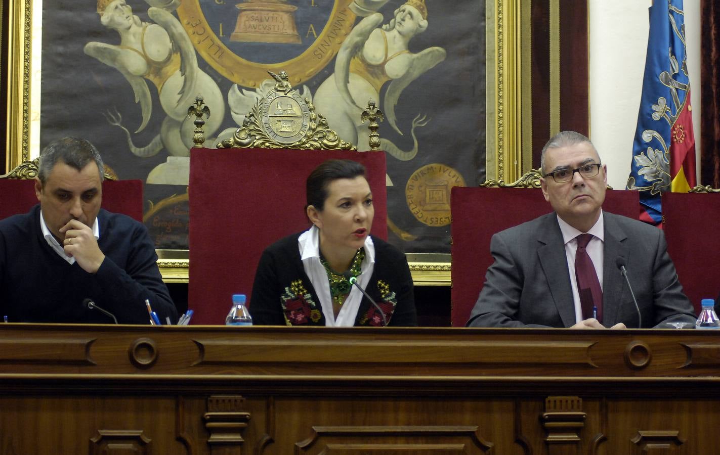 Pleno en el Ayuntamiento de Elche