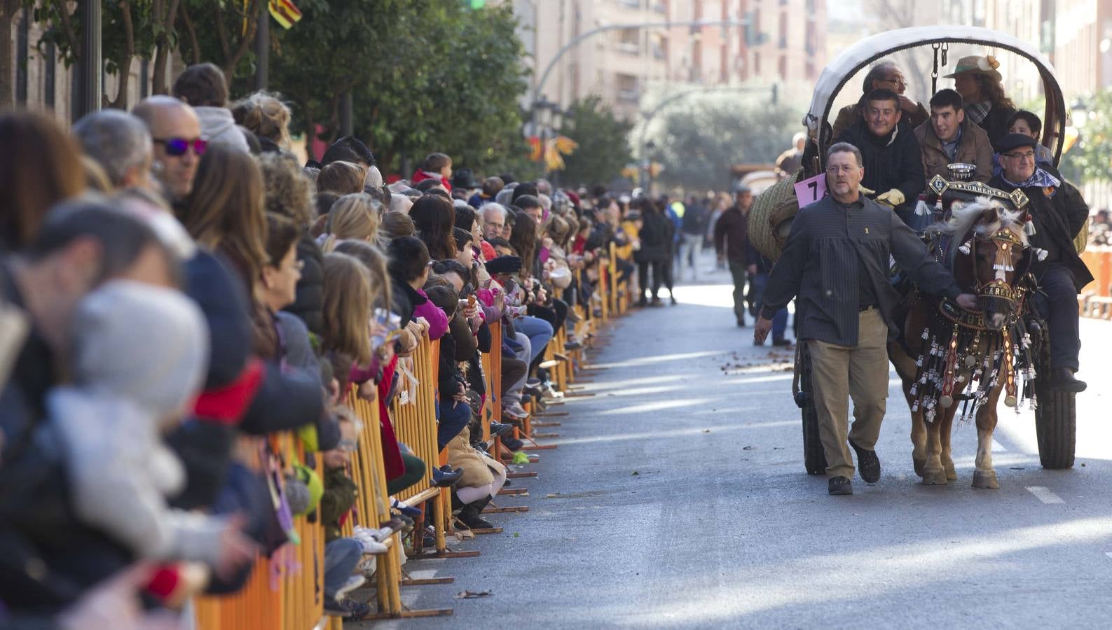 San Antonio 2014: bendición de mascotas en Valencia