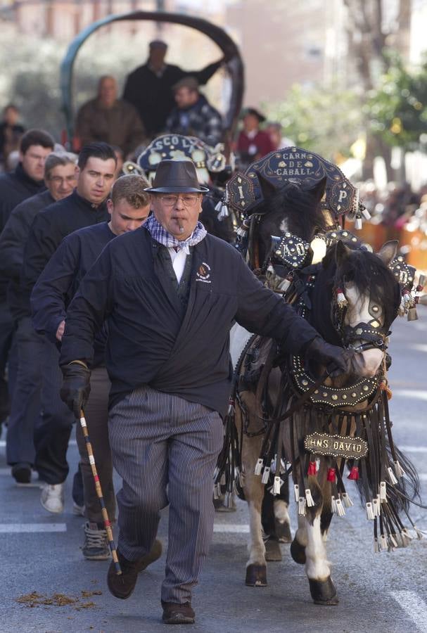 San Antonio 2014: bendición de mascotas en Valencia