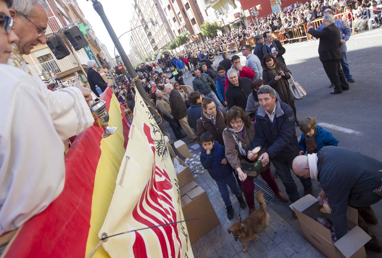 San Antonio 2014: bendición de mascotas en Valencia