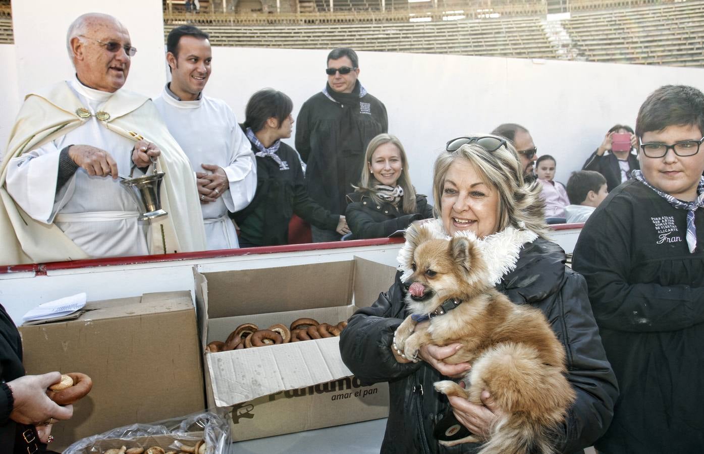 Día de San Antón en Alicante