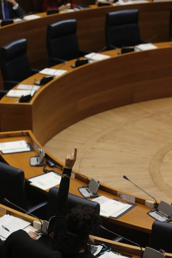 Pleno de Les Corts del miércoles 28 de enero