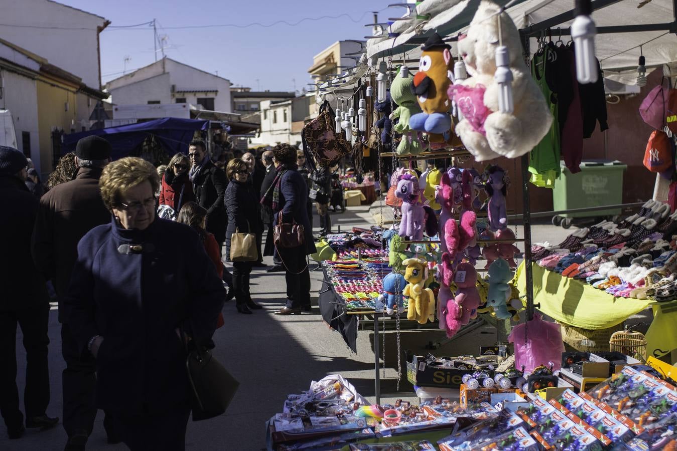 Romería de Santa Águeda en Catral