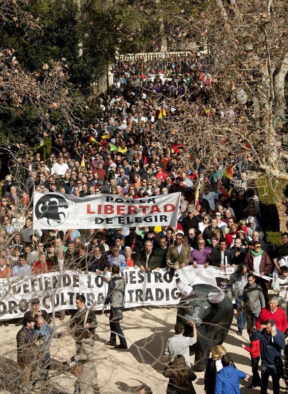 Masiva manifestación a favor del toro en Castellón