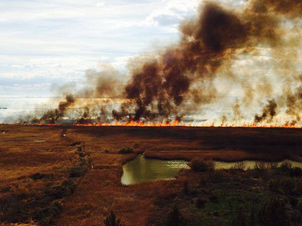 Fotos del incendio en Massalfassar, junto al centro comercial El Manar