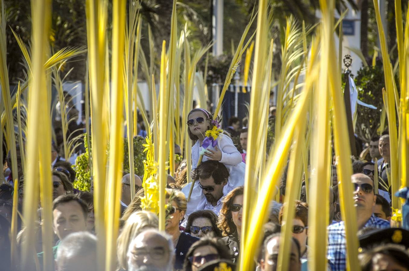 Procesión de Domingo de Ramos en Elche