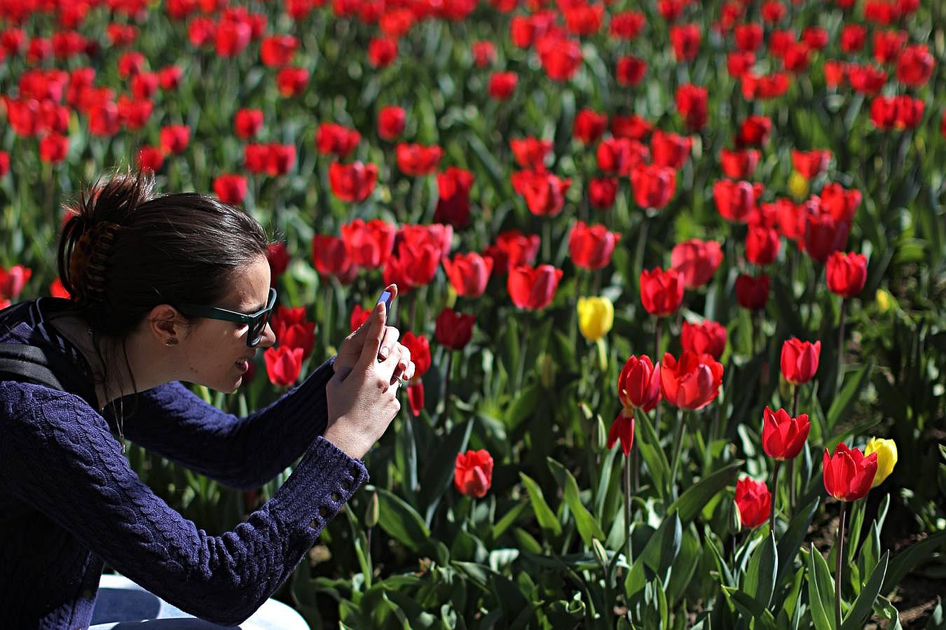 El color de la primavera