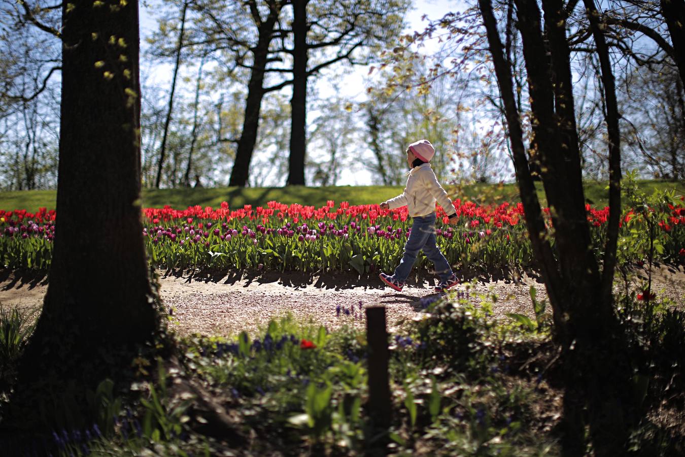 El color de la primavera