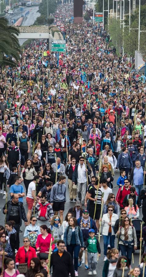 Romería de la Santa Faz (I)