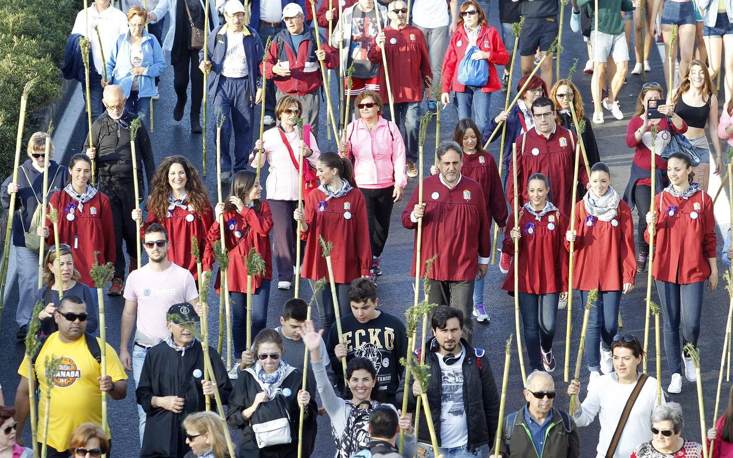 Romería de la Santa Faz (I)