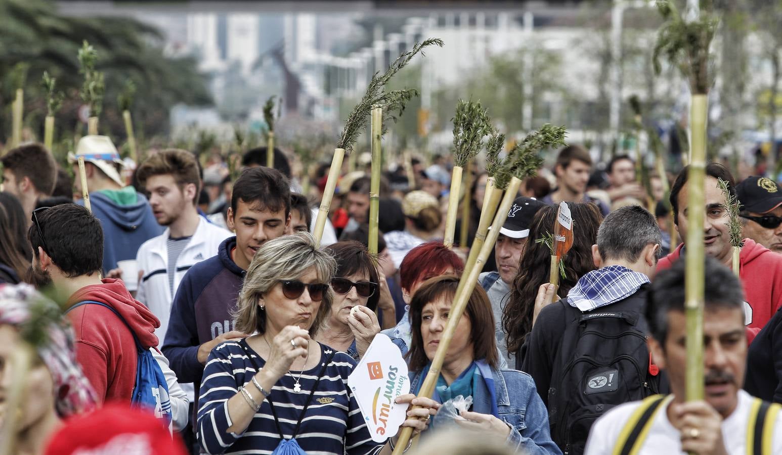 Romería de la Santa Faz (I)