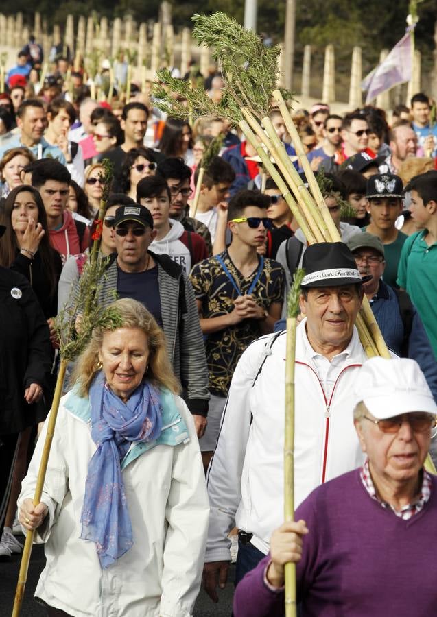 Romería de la Santa Faz (II)