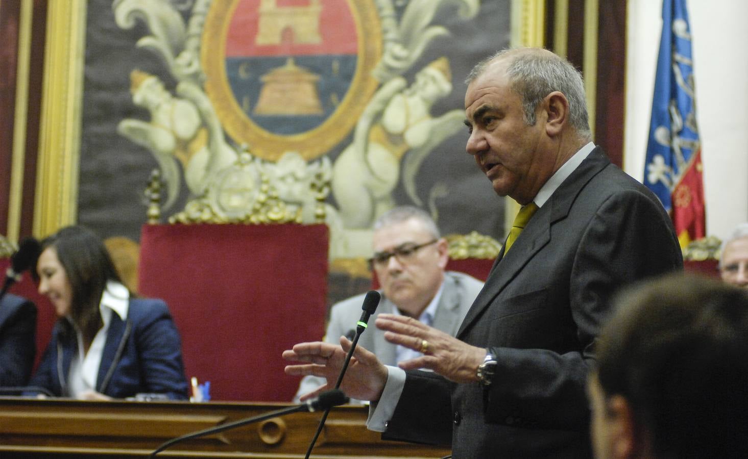 Último pleno ordinario del Ayuntamiento de Elche