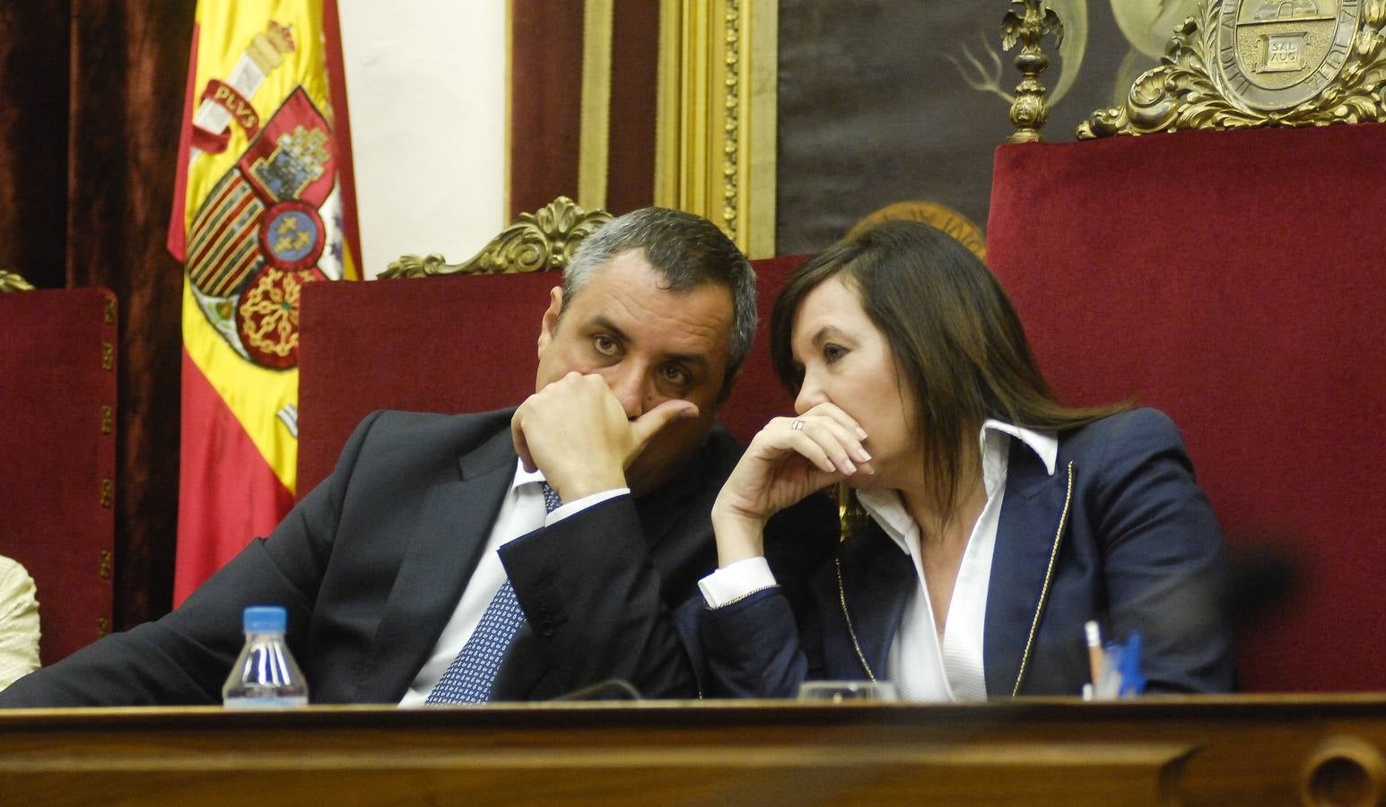 Último pleno ordinario del Ayuntamiento de Elche