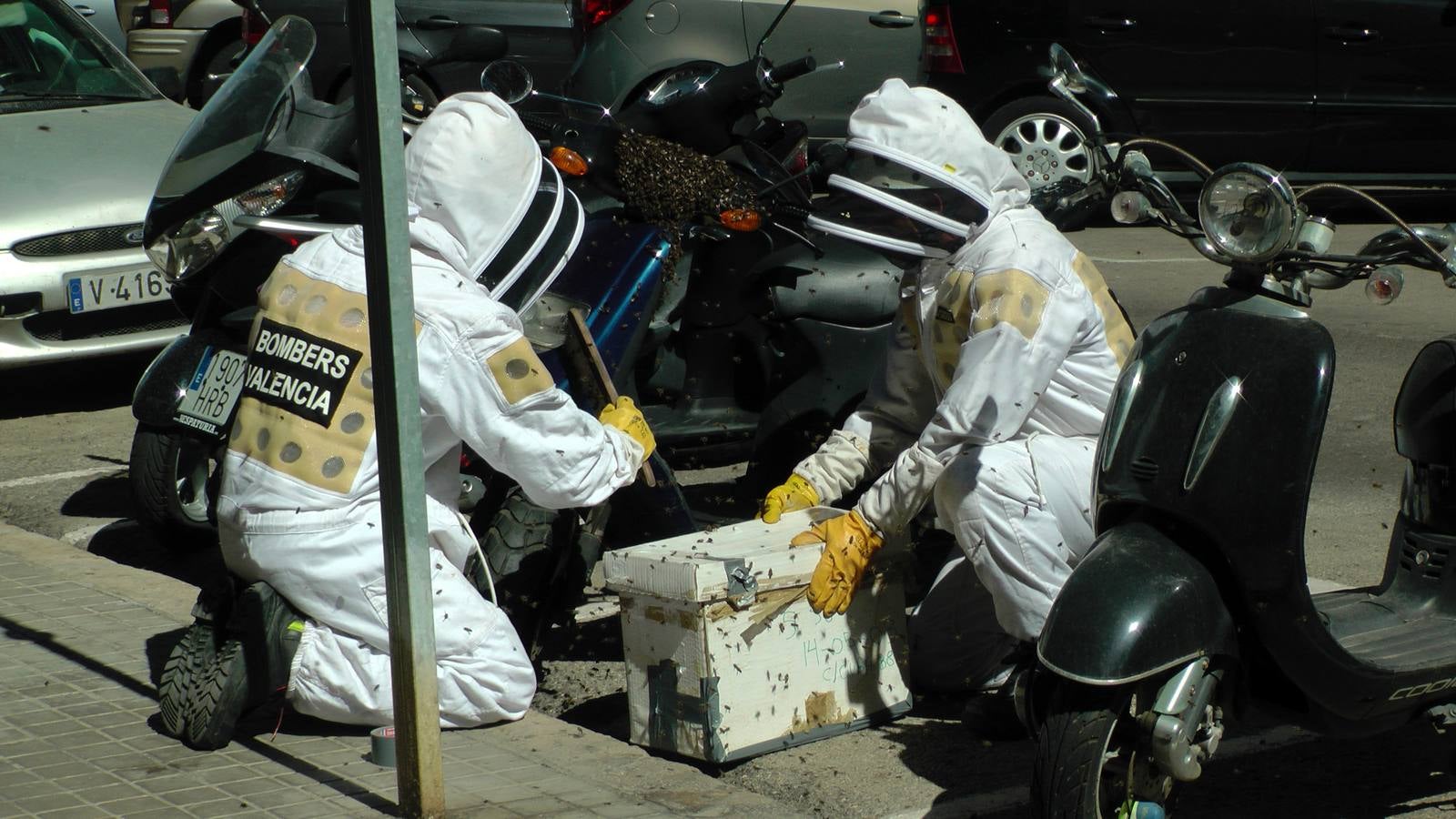 Un enjambre de abejas en una moto moviliza a los bomberos