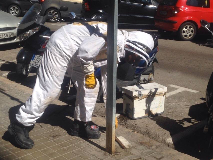 Un enjambre de abejas en una moto moviliza a los bomberos