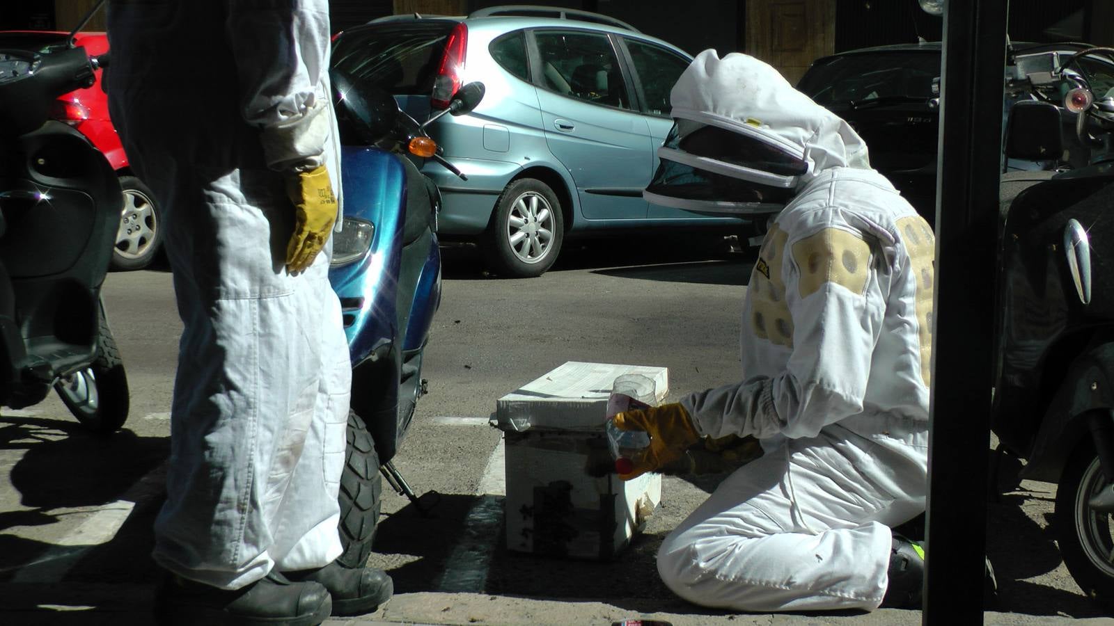 Un enjambre de abejas en una moto moviliza a los bomberos