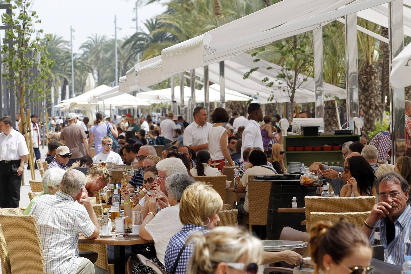 Llegan los turistas a la ciudad