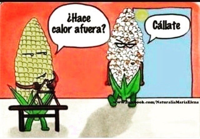 Los mejores memes sobre el calor en Valencia