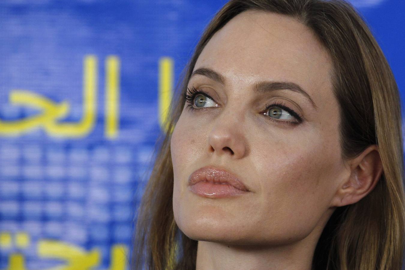 Angelina Jolie, en imágenes