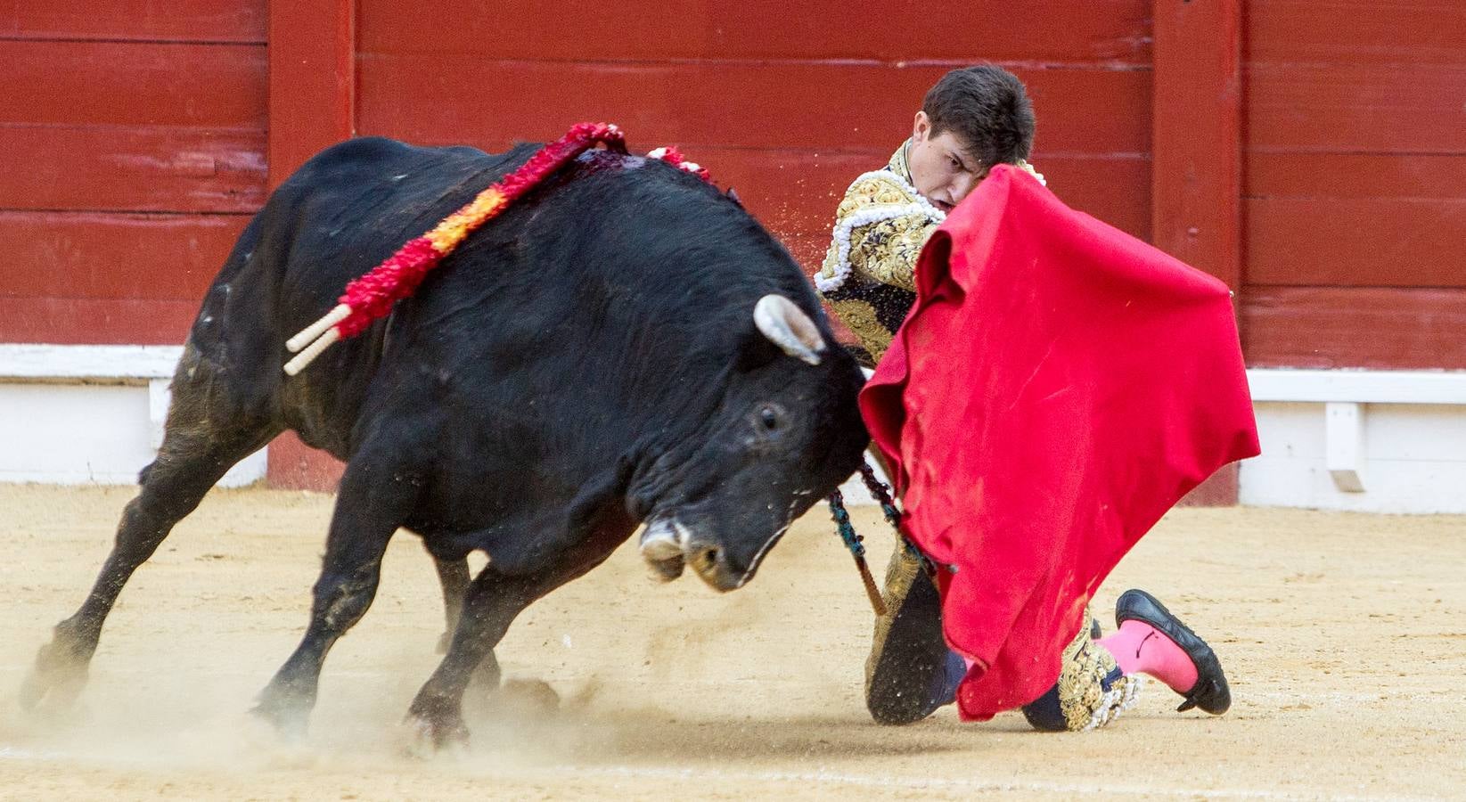 Novillada en la Plaza de Toros de Alicante