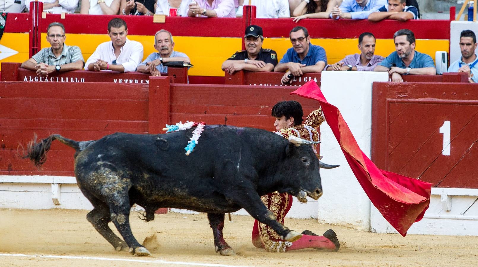 Novillada en la Plaza de Toros de Alicante